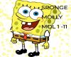SPONGE MOLLY
