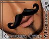 Artiste Mustache