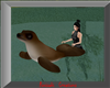 Seal floatie A