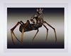Arachnid body &legs