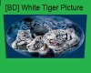 [BD] WhiteTigers Picture