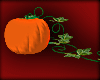 [F84] Pumpkin & vine