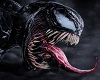 Venom #4