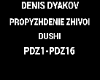Denis_Dyakov_Dusha_Zhiv