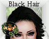 Black Braided Hair