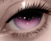 Fallen Pink