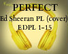 PERFECT (cover) PL