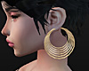 Gold Hoopy Earrings