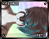 [PETS] Ezi | hair v6