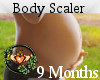 Pregnancy Body Scaler