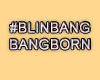 MA #BlingBangBangBorn