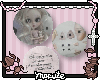 delicate doll