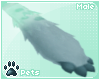 [Pets] Shayde | paws v1