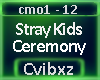 Stray Kids - Ceremony