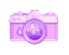 Purple camera