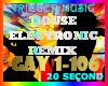 House Electronic Remix