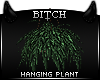 !B Fall Hanging Plant