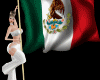 Flag Mexico Poses Bander