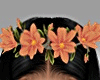 Crown Flowers
