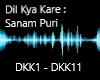 Dil Kya Kare - Sanam