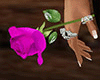 Pink Rose in Hand (F)