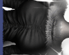 y̷ Black fur