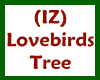 (IZ) Lovebirds Tree