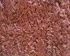 Dixie Rose Poodle ears