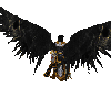 Medvedya WIngs