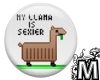 My Llama Is Sexier