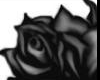 Black Heart/Roses