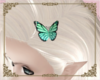 A: Hair butterfly sea
