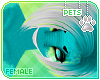[Pets] Esper | hair v6