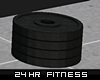 24 HR Barbell Plates Stk