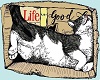 Life is Good cat poster