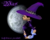 *LL* Purple Wizard Hat