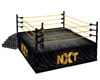 NXT Ring