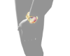 rainbow luxe timepiece