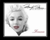 [JD] Marilyn Forever