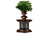 Pillar Stand With Plant