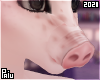 Pig | Maria Nose