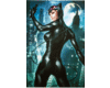 Cat Woman Frame