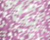 light purp sparkle boots