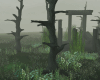 Ruins in the Forest
