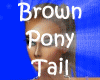 ~ Brown ! Pony Tail