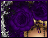 Purple Roses Accessory 2