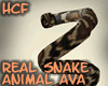 HCF Real Snake Animal