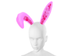Bunny Ears Set V2