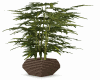 JM1P|Plant N Taupe Pot