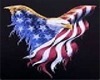 (JJ)USA EAGLE FLAG FRAME